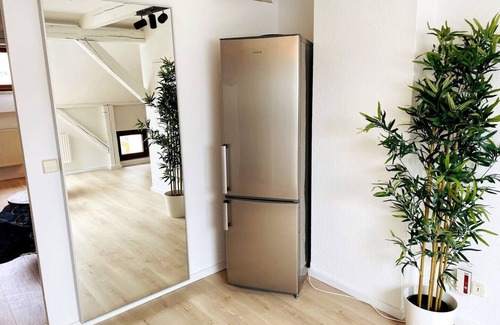 Zwickau Apartment | Historic flat in Zwickau city centre