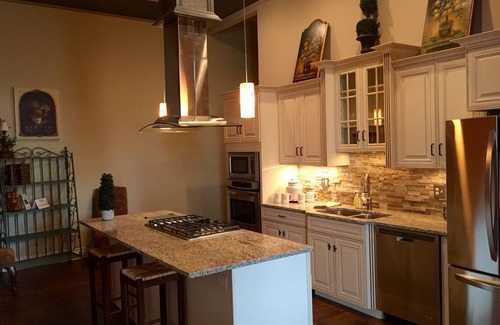 La Salle Apartment | Historic Loft Close To Starved Rock State Park, Buffalo Rock Park, I&M Canal