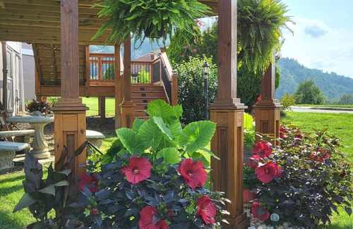 Fries House | Historic Victorian New River views w/easy New River Trail access