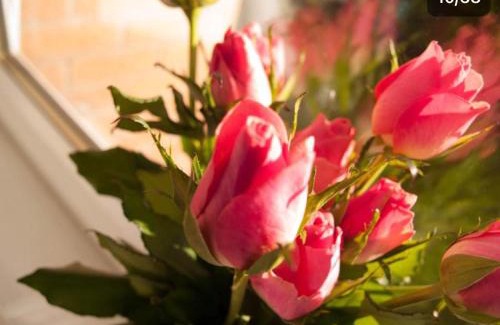 Motherwell Apartment | HLA king court 3