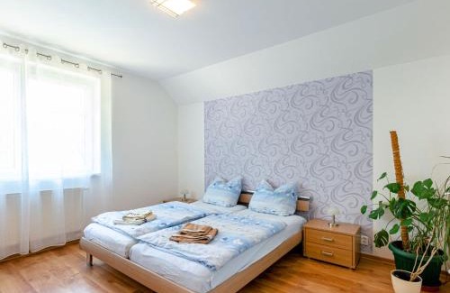 Albrechtice v Jizerskych horach House | Holiday Home Albrechtice by Interhome