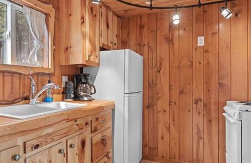 Custer Cabin | Hobbit Hole: Needle Spire Views + Firepit + Sauna