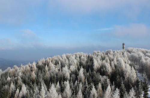 Oybin House | Hochwaldbaude