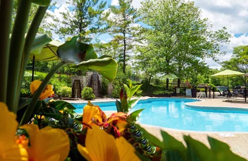 Mono Resort | Hockley Valley Resort