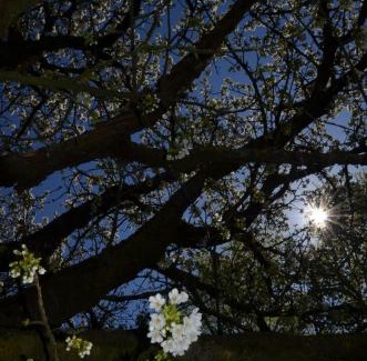 Alken Bed & Breakfast | Hoeve BôThé - B&B