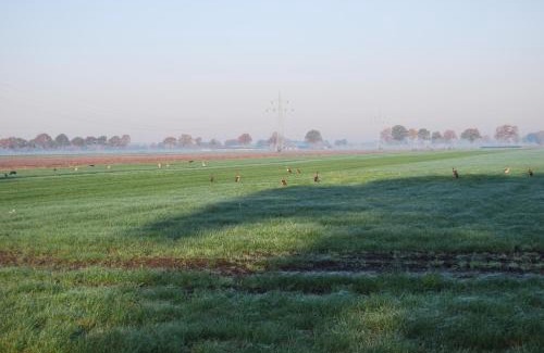Municipality of Hardenberg Bed & Breakfast | Hoeve de Heemser Parel
