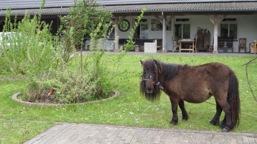 Lage Mierde Other | Hoeveheikant