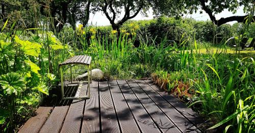 Renz Apartment | Hof Garz