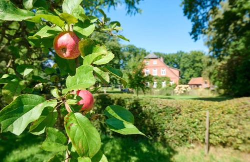 Raven Bed & Breakfast | Hof Wölper Raven