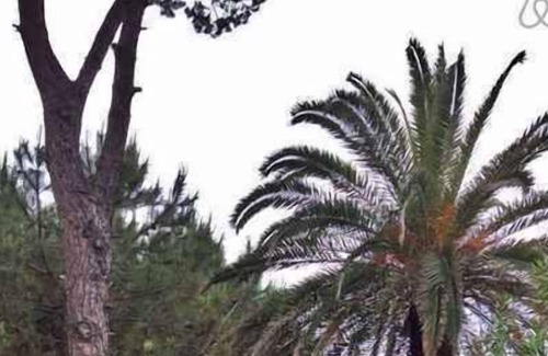 Tortoreto Lido Apartment | Holiday apartment with terrace
