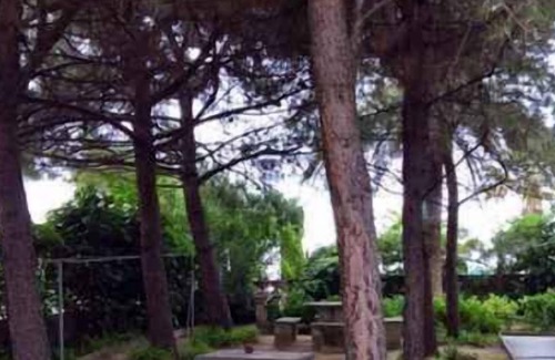 Tortoreto Lido Apartment | Holiday apartment with terrace