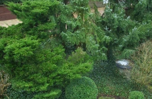 Baden-Baden Apartment | Holiday apartment Baden-Baden for 1 - 2 persons with 1 bedroom - Holiday apartment in one or multi-f