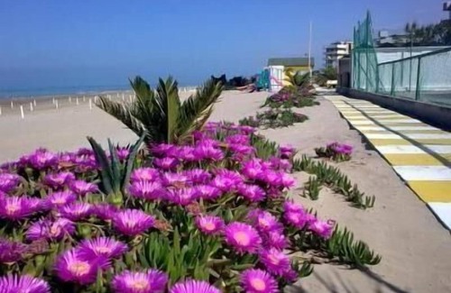 Torrette Apartment | Holiday apartment Fano for 1 - 4 persons with 1 bedroom - Holiday apartment