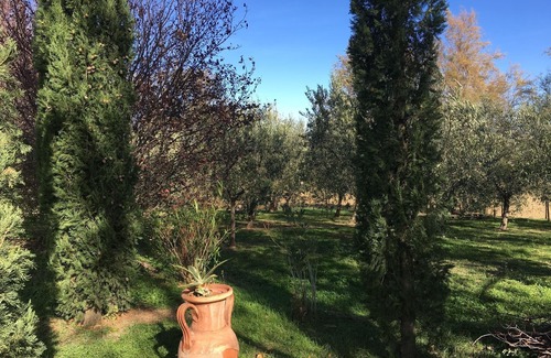 Mombaroccio House | Holiday apartment Mombaroccio for 1 - 2 persons - Holiday house