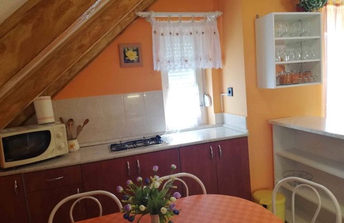 Zalakaros Apartment | Holiday apartment with barbecue and fireplace