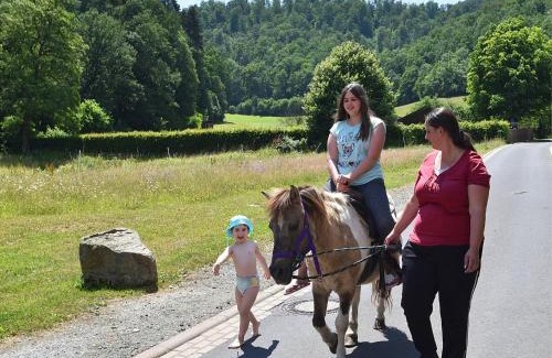 Bad Wildungen Apartment | Holiday farm situated next to the Kellerwald-Edersee national park with a sunbathing lawn