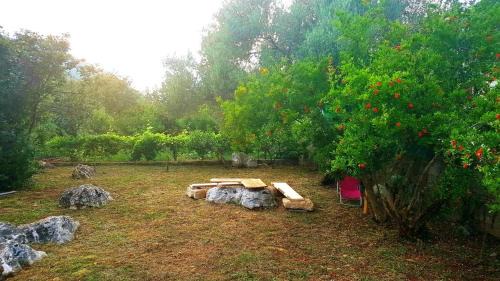 Mali Ston House | Holiday Home 4542