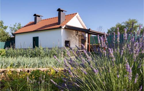 Caporice House | Holiday Home Caporice With A Fireplace 289