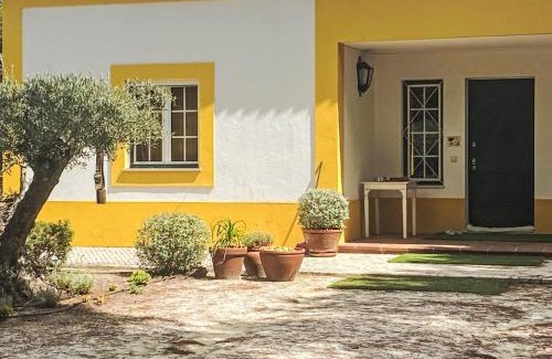 Alcacer do Sal House | Holiday Home Entre as Árvores by Interhome