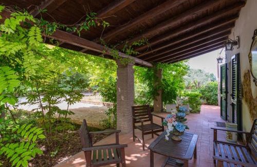 Tortoreto House | Holiday Home Fonte del Ceppo 1 by Interhome