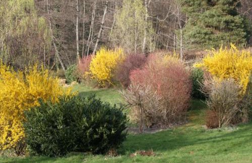 La Chapelle-aux-Bois House | Holiday Home in La Chapelle with Garden, cleaning included