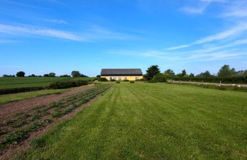 Tranekaer House | Holiday Home Joran - 120m from the sea by Interhome