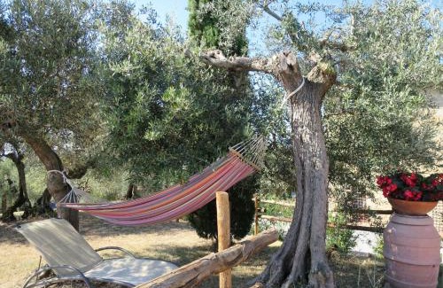 Teverina di Cortona House | Holiday Home La Collina Fiorita by Interhome