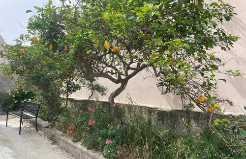 Teulada House | Holiday Home 'La Casa Del Cedro A Teulada 8' with Terrace, Garden and Air Conditioning