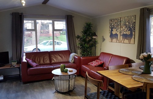 Diever Ski Chalet | Holiday home Landgoed 't Wildryck