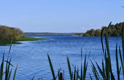 Mimizan House | Holiday Home Les Trounques-1 by Interhome