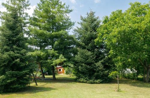 Latrany House | Holiday Home Magnolia by Interhome