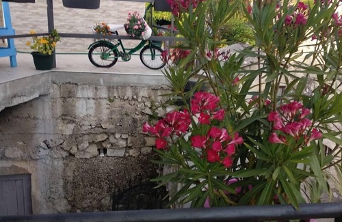 Karuc House | HOLIDAY HOME PAVLE -WELCOME!
