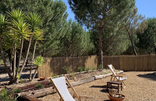 Santiago do Cacem Other | Holiday home / Monte Alentejano near the beaches of the Alentejo Coast