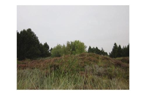 Romo House | Holiday Home Ringvejen Iii