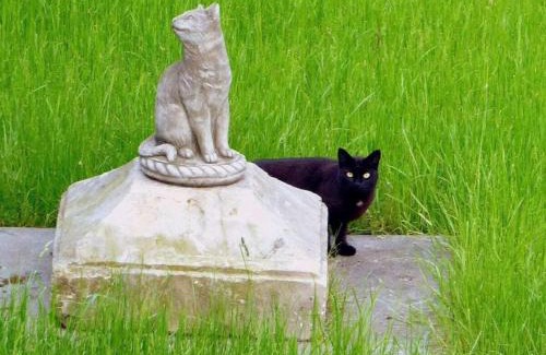 Grossschoenau House | Holiday home Schwarzer Kater