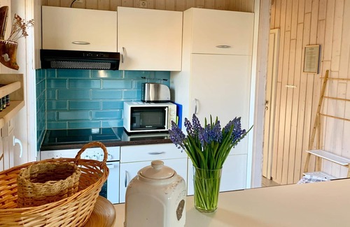 Dummer House | Holiday home Seeblick with sauna on lake Dümmer, Dümmer
