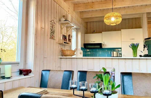 Dummer House | Holiday home Seeblick with sauna on lake Dümmer, Dümmer