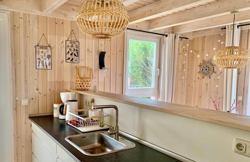 Dummer House | Holiday home Seerose with sauna on lake Dümmer, Dümmer
