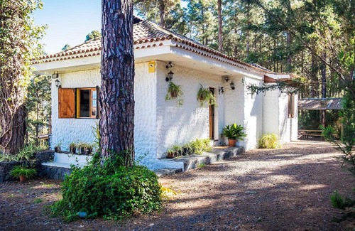 Icod de los Vinos House | Holiday Home Sendero floral