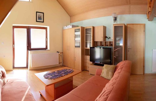 Bostanj House | Holiday home with terrace and air conditioning