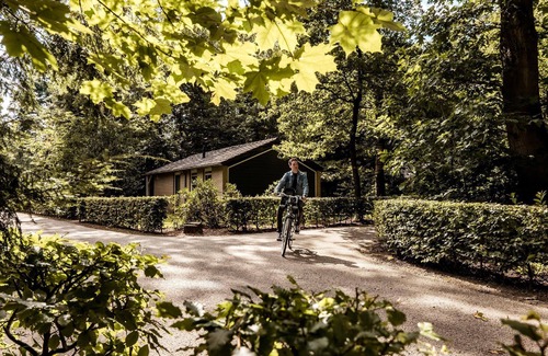 Borger House | Holiday house Borger for 1 - 2 persons with 1 bedroom - Holiday home