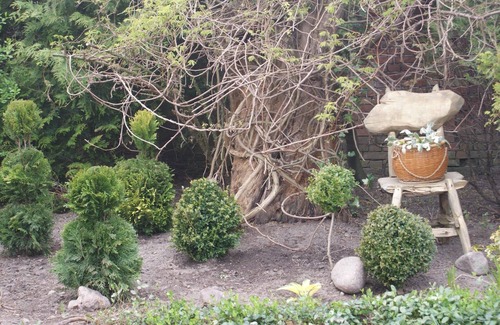 Darlowo Other | Holiday house Darlowo for 1 - 4 persons with 1 bedroom - Farmhouse