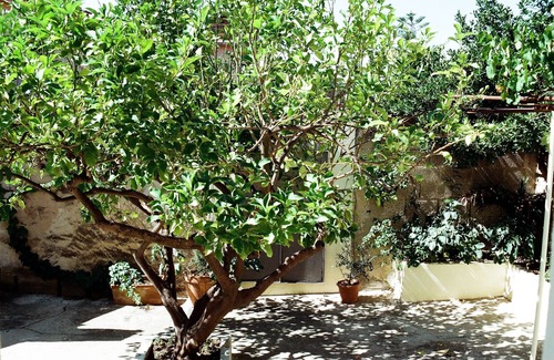 Teulada House | Holiday house in Teulada