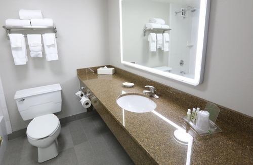 O'Hare Hotel | Holiday Inn Chicago O'Hare Area by IHG