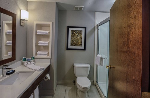 Pell City Hotel | Holiday Inn Express Hotel & Suites Pell City by IHG