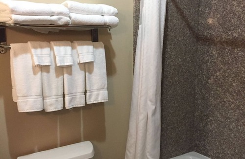 Pecos Hotel | Holiday Inn Express Hotel & Suites Pecos, an IHG Hotel
