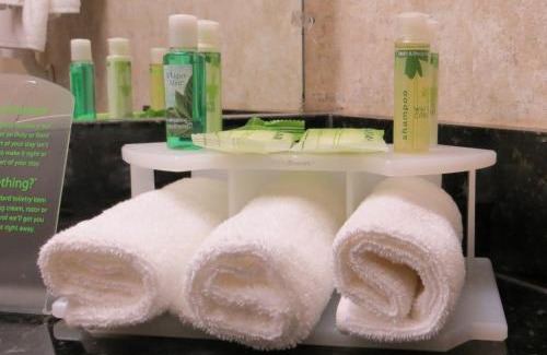 Ottawa Division Hotel | Holiday Inn Express Hotel & Suites Ottawa Airport by IHG