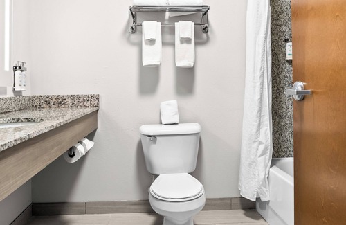 Novi Hotel | Holiday Inn Express Hotel & Suites Detroit-Novi by IHG