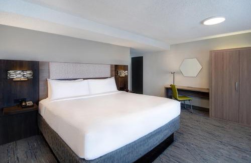 Rochester Hotel | Holiday Inn Express Rochester - University Area by IHG