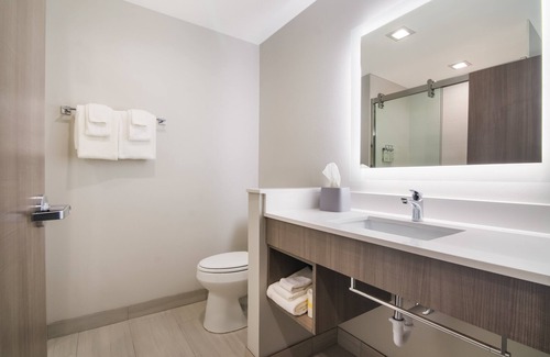 Springdale Hotel | Holiday Inn Express & Suites Springdale Fayetteville Area by IHG